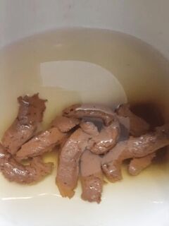 Flushing